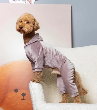 Костюм для собак велюровий Dogs Bomba з капюшоном трикотаж весна-осінь для середніх порід Кураж Пудра Одеса