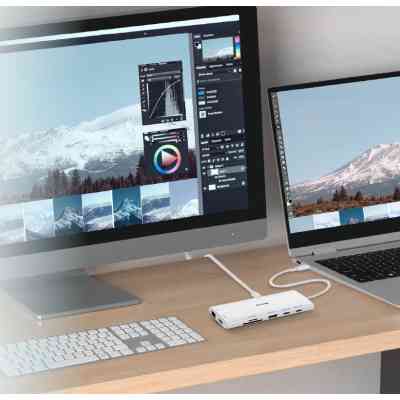 Концентратор D-Link USB-C 10-in-1 2xHDMI + 1xRJ45 1000Mbps + 2xUSB-C + USB 3.1 + USB 3.0 + SD + TF silver (DUP-A01) Вінниця