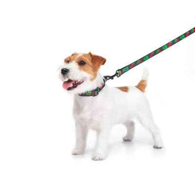 Поводок для собак WAUDOG Nylon "Калина" S (4915-0228) Винница