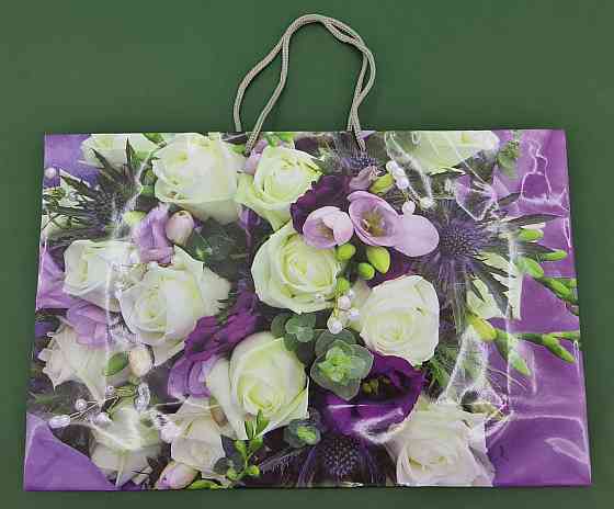 Бумажный большой горизонтальный пакет  36/22/10(артBG-079) (12 шт) Харьков