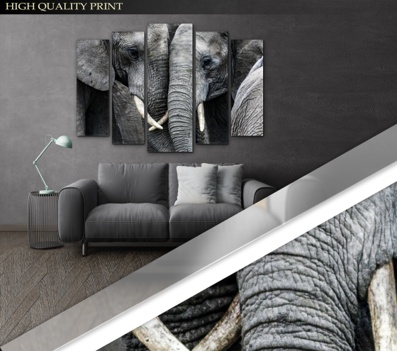 Модульна картина Тварини Art-344_5 ( 80х118см ) Київ