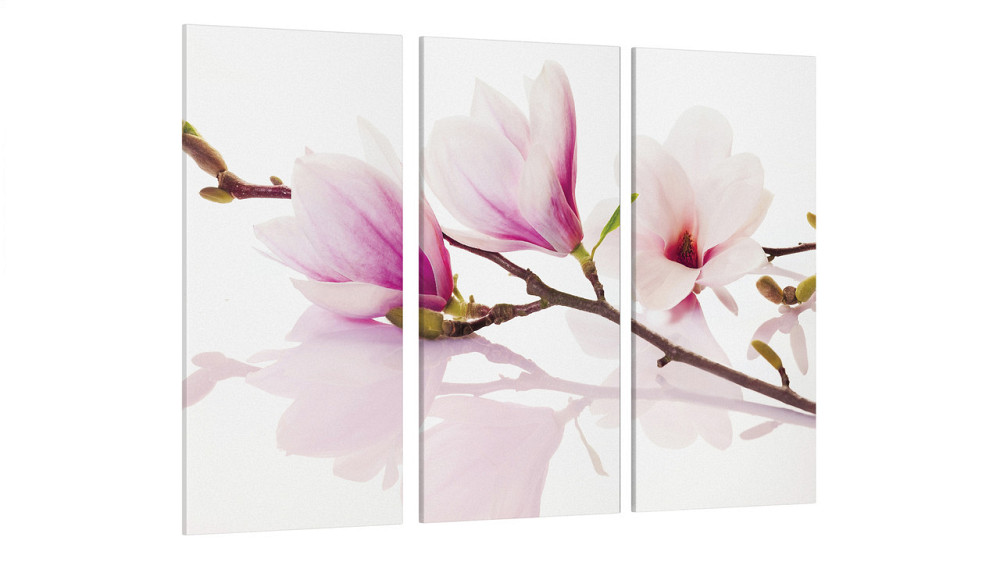 Модульна картина Квіти Магнолія Art-20_XXL Київ - фото 3