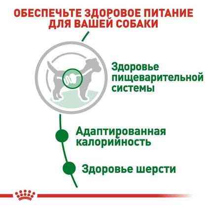Royal Canin Mini Adult (Рояв Канін Міні Едалт) вологий корм для маленьких собак до 10 кілограмів від 10 місяців 0,085 кг. Запоріжжя