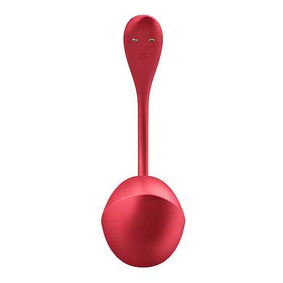 Вибратор в трусики Satisfyer Ribbed Petal с приложением и пультом, красный Sex Aura Киев