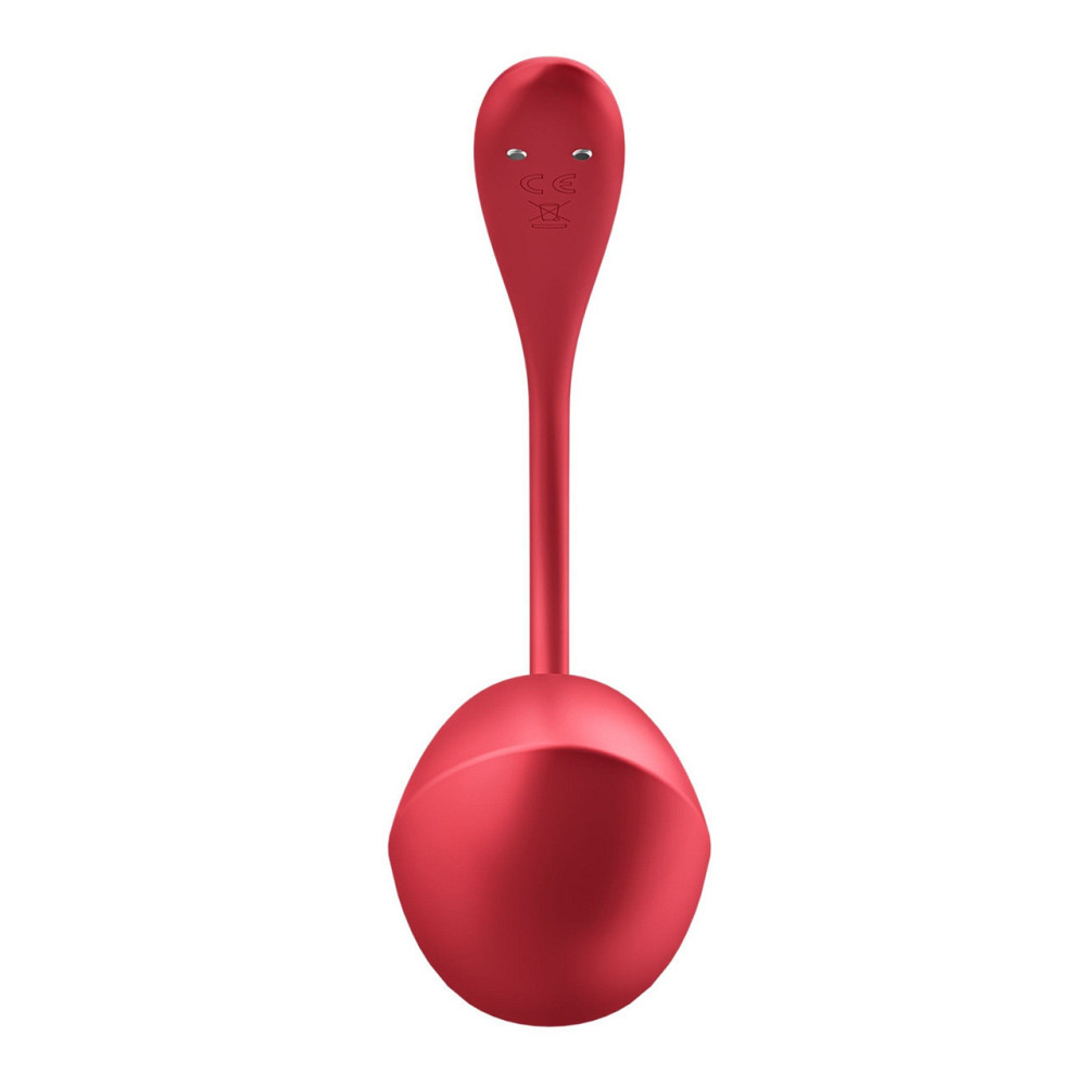 Вибратор в трусики Satisfyer Ribbed Petal с приложением и пультом, красный Sex Aura Киев - изображение 3