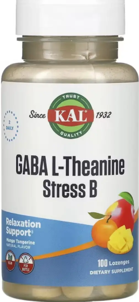 L-теанін та ГАМК KAL GABA L-Theanine Stress B 100 лід манго та мандарин Київ - фото 1