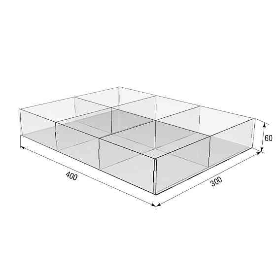 Коробка акриловая EKOSTAR 400х300х60 6 ячеек Киев