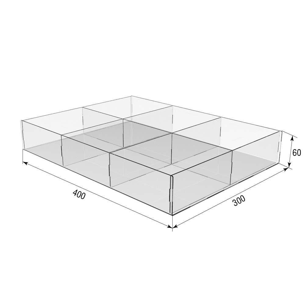 Коробка акриловая EKOSTAR 400х300х60 6 ячеек Киев - изображение 3