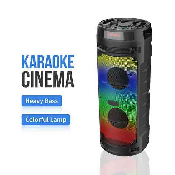 Портативна акустична система Winso ZQS6210W-6.5"x2 з RGB 30W з караоке мікрофоном та пультом Київ