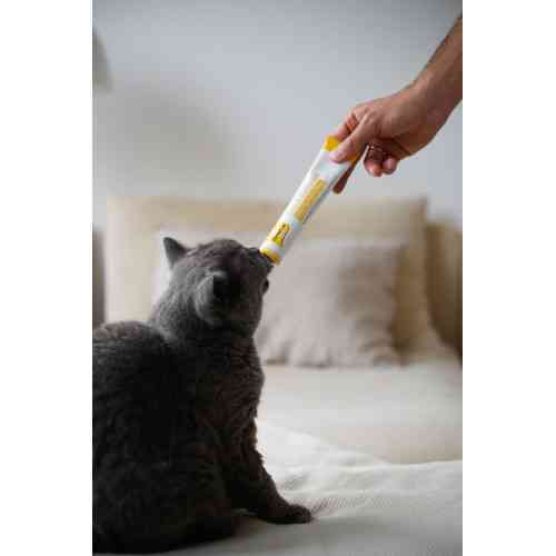 Паста GimCat Cheese Biotin Paste для котів усіх порід cирна з біотином 100г Київ