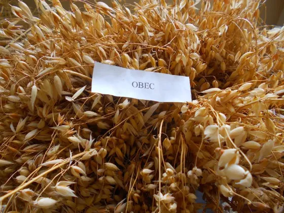 Мешок овсяный 30 кг Киев