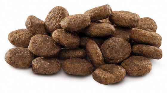 Сухий корм Бріт Brit Premium Junior L для цуценят і молодих собак великих порід віком від 3 до 24 місяців, 3 кг Вінниця