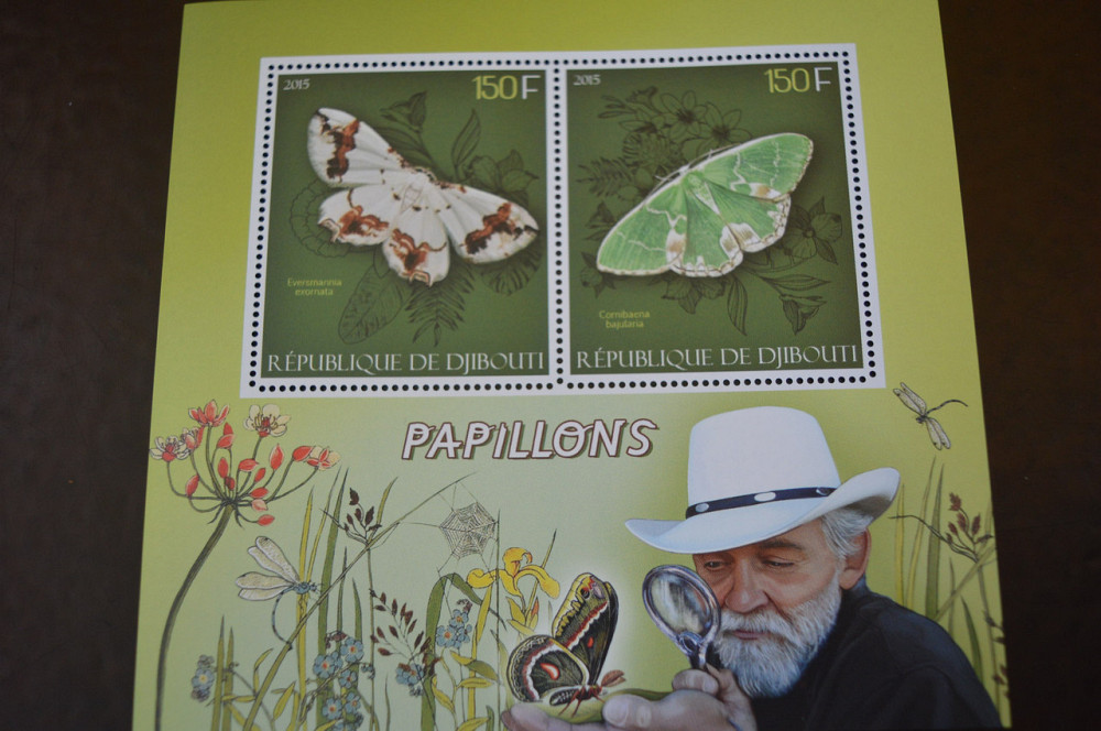 Джибуті. Марки. Фауна. Блок. 2013 рік (А-22) Полтава - фото 1