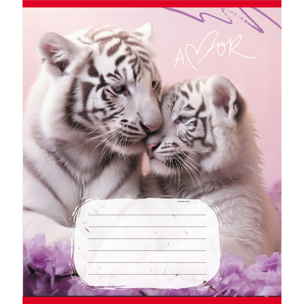 Тетрадь ученическая 