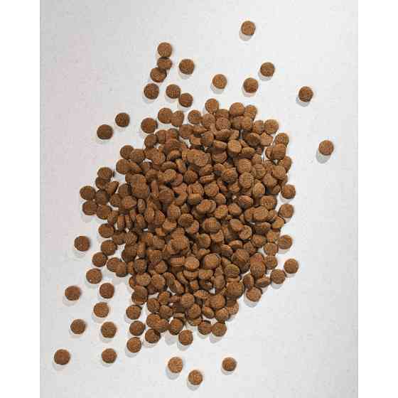 Сухой корм Half&Half для щенков всех пород, с говядиной, 12 кг Винница