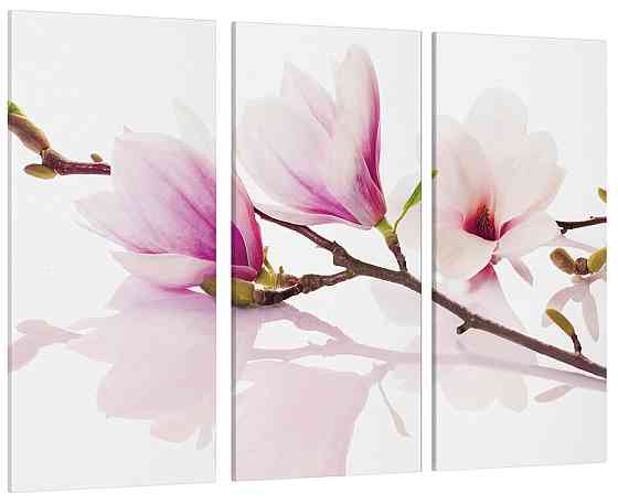 Модульна картина Квіти Магнолія Art-20_XXL Київ