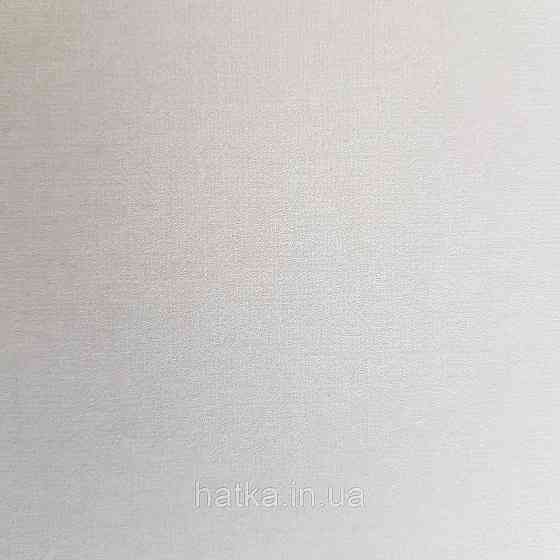 Шпалери флізелінові екологічно чисті Rasch Salisbury 0.53х10 однотонні ефект потертості світло сірі Київ