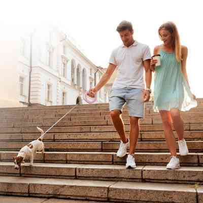 Поводок для собак WAUDOG R-leash светоотражающая лента XS-M до 40 кг 2.9 м розовый (81277) Винница