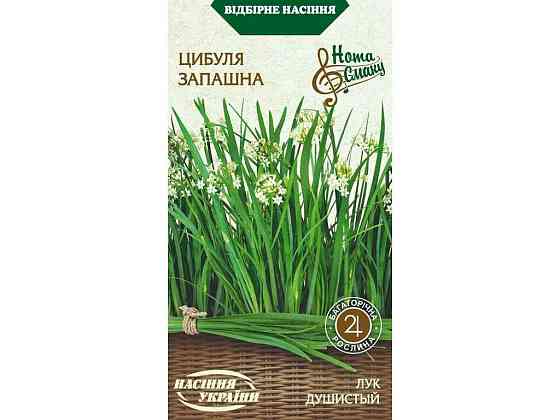 Цибуля Запашна НС (20 пачок) 0,5 г ТМ СЕМЕНА УКРАЇНИ Київ
