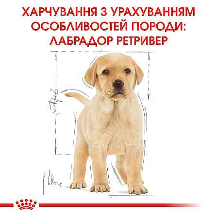 Корм для цуценят ROYAL CANIN LABRADOR PUPPY 12.0 кг Київ