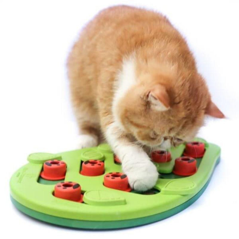 Интерактивная игрушка головоломка для лакомств для котов Nina Ottosson Buggin Out Puzzle Play (Нина Оттоссон) Запорожье - изображение 5