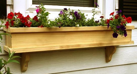 Квітник на підвіконня "Каніоса" ваніль Миколаїв - фото 1