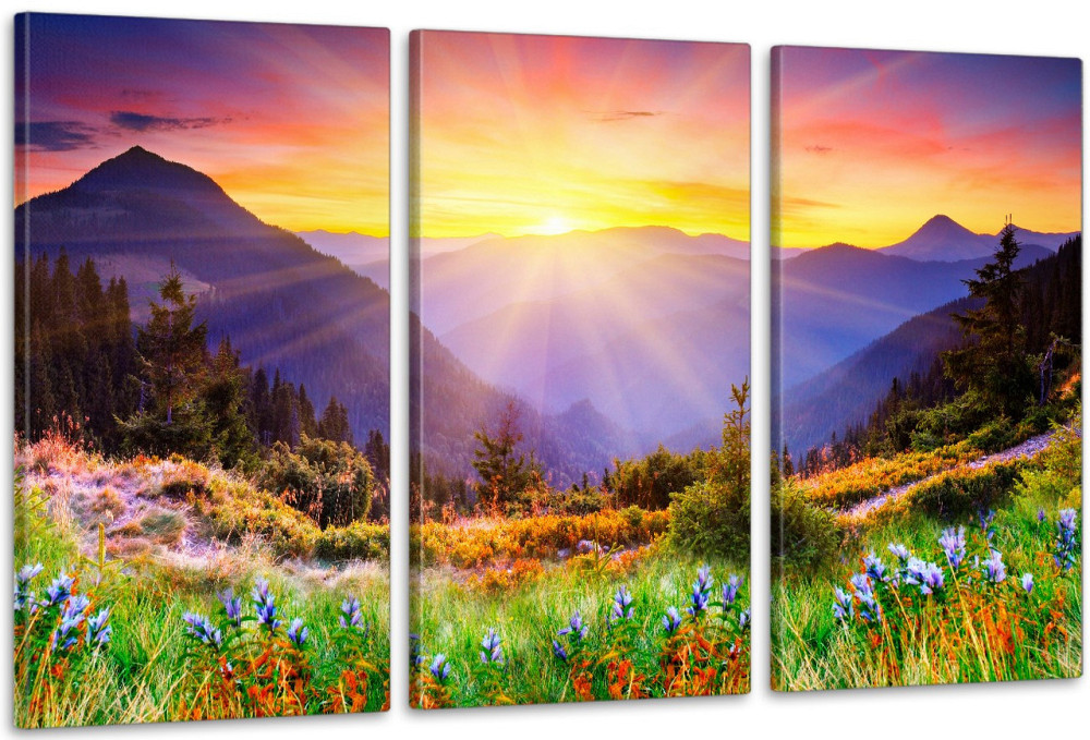 Модульная картина в гостиную / спальню  Природа    ART-227_3A 70х130 см Киев - изображение 1