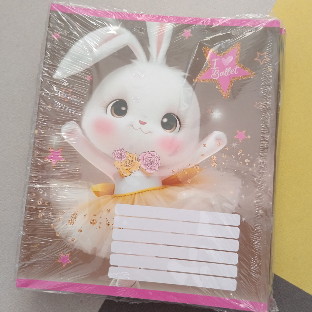 Шкільні зошити 12ар коса лінійка Лідер дівчинка Київ - фото 1