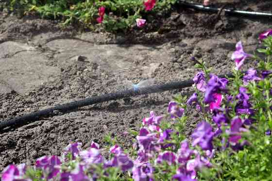 Мікроджет Presto-PS крапельниця для поливу Крокус 43 л/год 180° (7718) Харьков