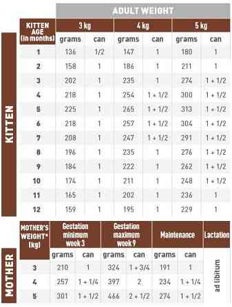 Royal Canin Gastrointestinal Kitten 12шт (Роял Канин Гастроинтестинал Киттен) мусс для котят при расстройствах Запорожье