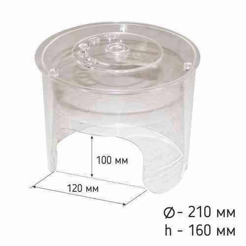 Шльопанці жіночі Чорний CB4018 Дніпро