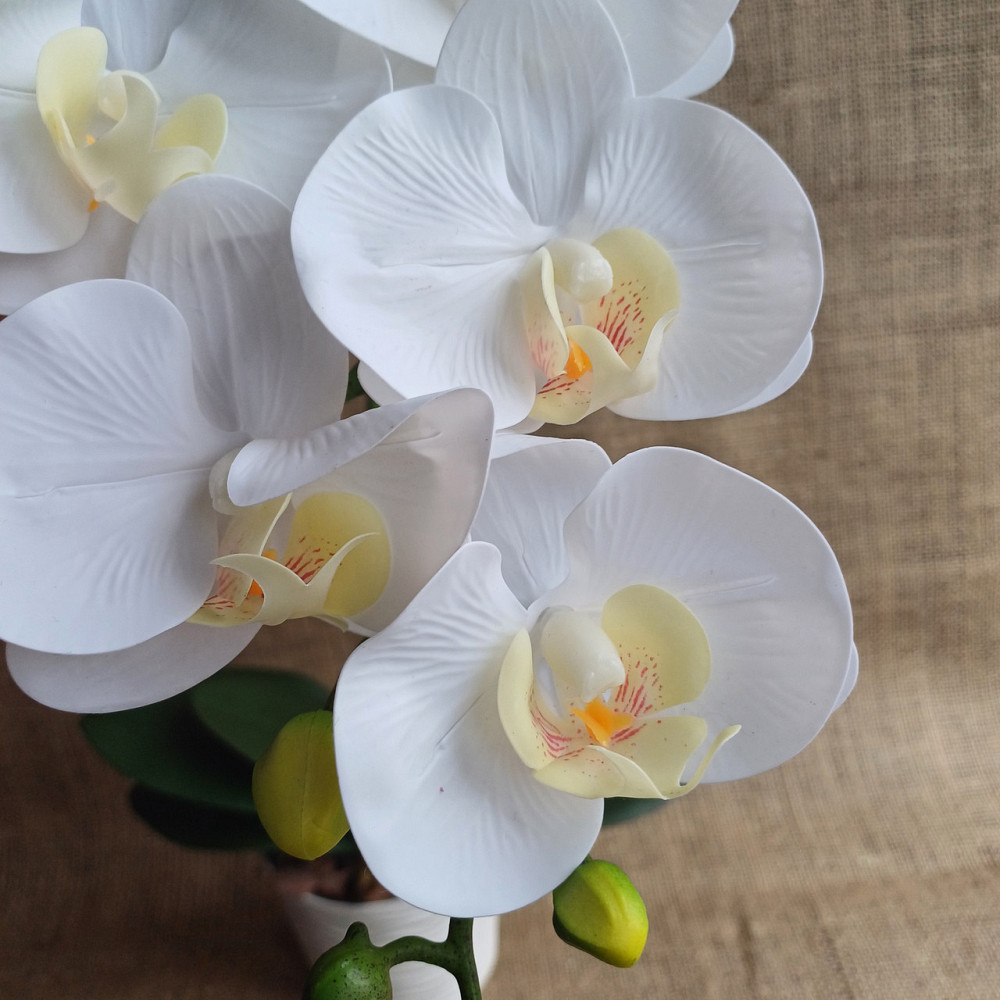 Штучна латексна орхідея VIP у пластиковому кашпо на одну гілку біла Дніпро - фото 2