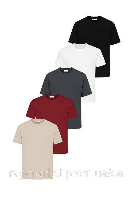 Набор базовых футболок Ray Premium Fit мужские 5 шт, цвет комбинированный (U0102-5PACK2) Киев - изображение 1