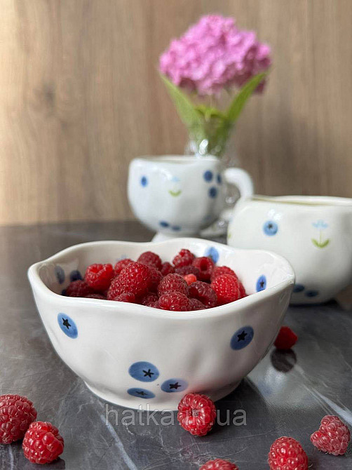 Салатник піала Olens "Лохина" 300 мл кераміка 8030-413 Київ - фото 1