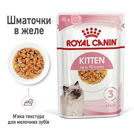 Вологий корм для кошенят ROYAL CANIN KITTEN IN JELLY 0.085 кг Київ
