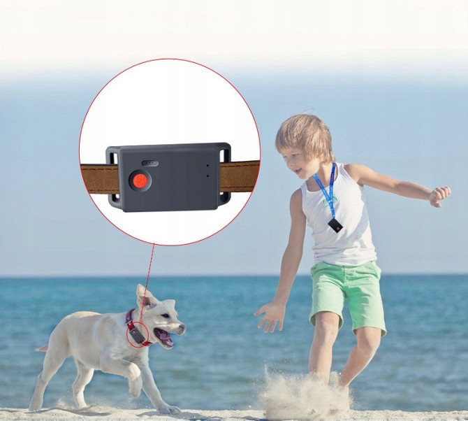 GPS трекер Sinotrack ST904 + подслушивание + SOS 15 дней 1200mAh APP Винница - изображение 5