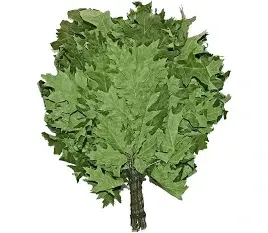 Веник для бани, сауны 