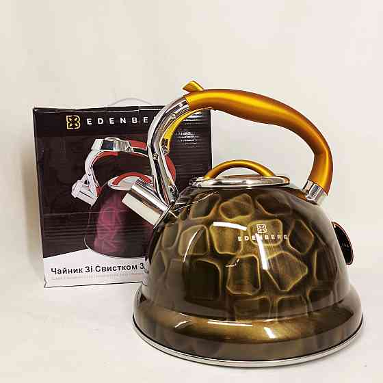 Чайник нержавейка со свистком бытовой, Качественный чайник для газовой плиты газовый 3 литра IE-49 Львов
