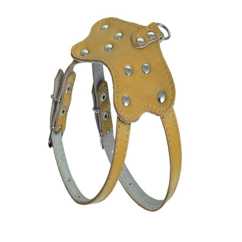 012 КОМПЛЕКТ "ПЕРЛАМУТР":шлейка "802" +Повідець"788" Вінниця - фото 1