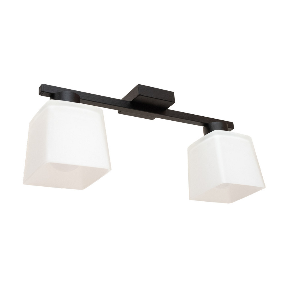 Люстра потолочная на два плафона MSK Electric Sakura под лампы Е27 черная NL 16510-2 BK Одесса - изображение 1