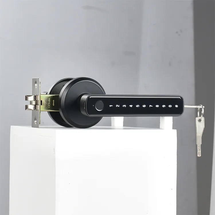 Умный дверной замок с Bluetooth кодовый KHS-GM3 биометрический с отпечатком пальца, черный Каменец-Подольский - изображение 6