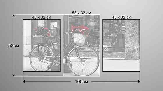 Модульна картина Велосипед і Квіти Art-105_3 Київ