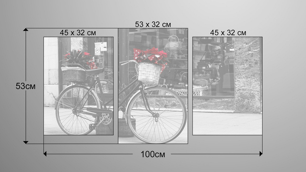Модульна картина Велосипед і Квіти Art-105_3 Київ - фото 3