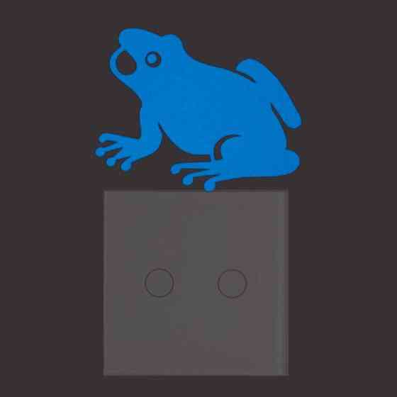 Святящаяся жаба Київ