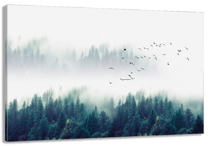 Картина холст в гостиную / спальню  Природа Ліс     MLP_310 80x120 см Киев - изображение 1