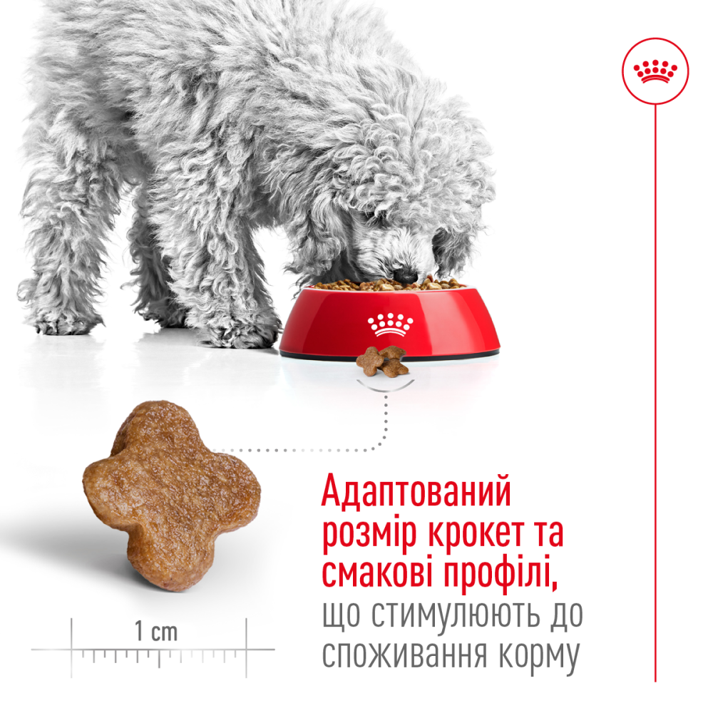 Корм для дорослих собак дрібних порід ROYAL CANIN MINI ADULT 8+(віком від 8 років) 0.8 кг Київ - фото 3