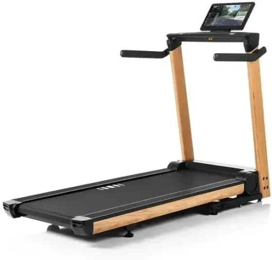 Беговая дорожка Hammer Q. Vadis 12.0 NorsK Киев