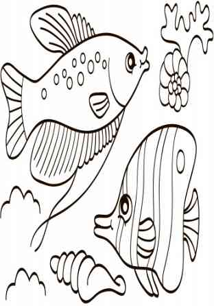 Детская водная раскраска : Море 734010, 8 страниц Винница