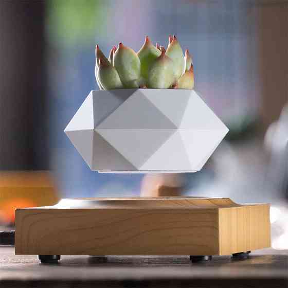 Магнітний левітаційний горщик для рослин HCNT Magnetic Levitating Pot M10-FP  Wood Grain Киев