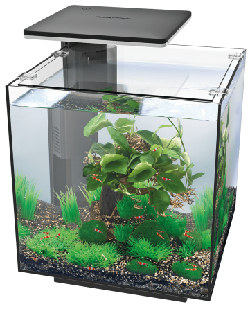 Аквариумный набор SuperFish QubiQ 30 LED Black (A4050895) Киев